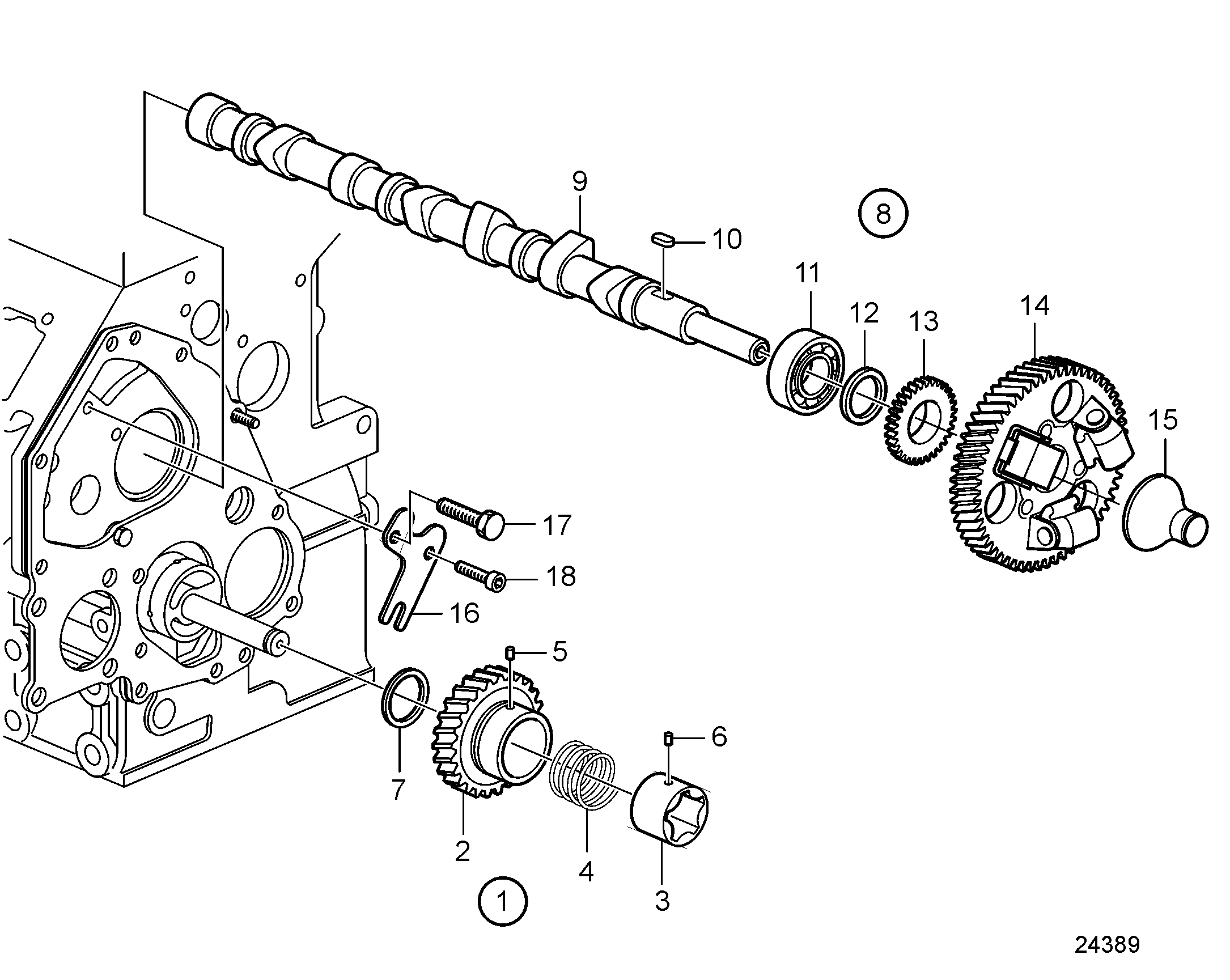 Camshaft and gears